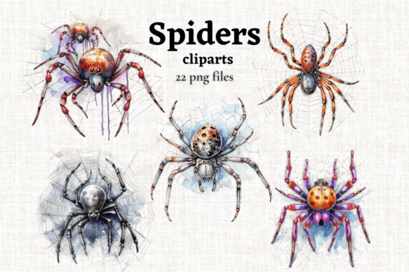 Download Watercolor Spiders Cobweb Clipart Set - Spiders Collection